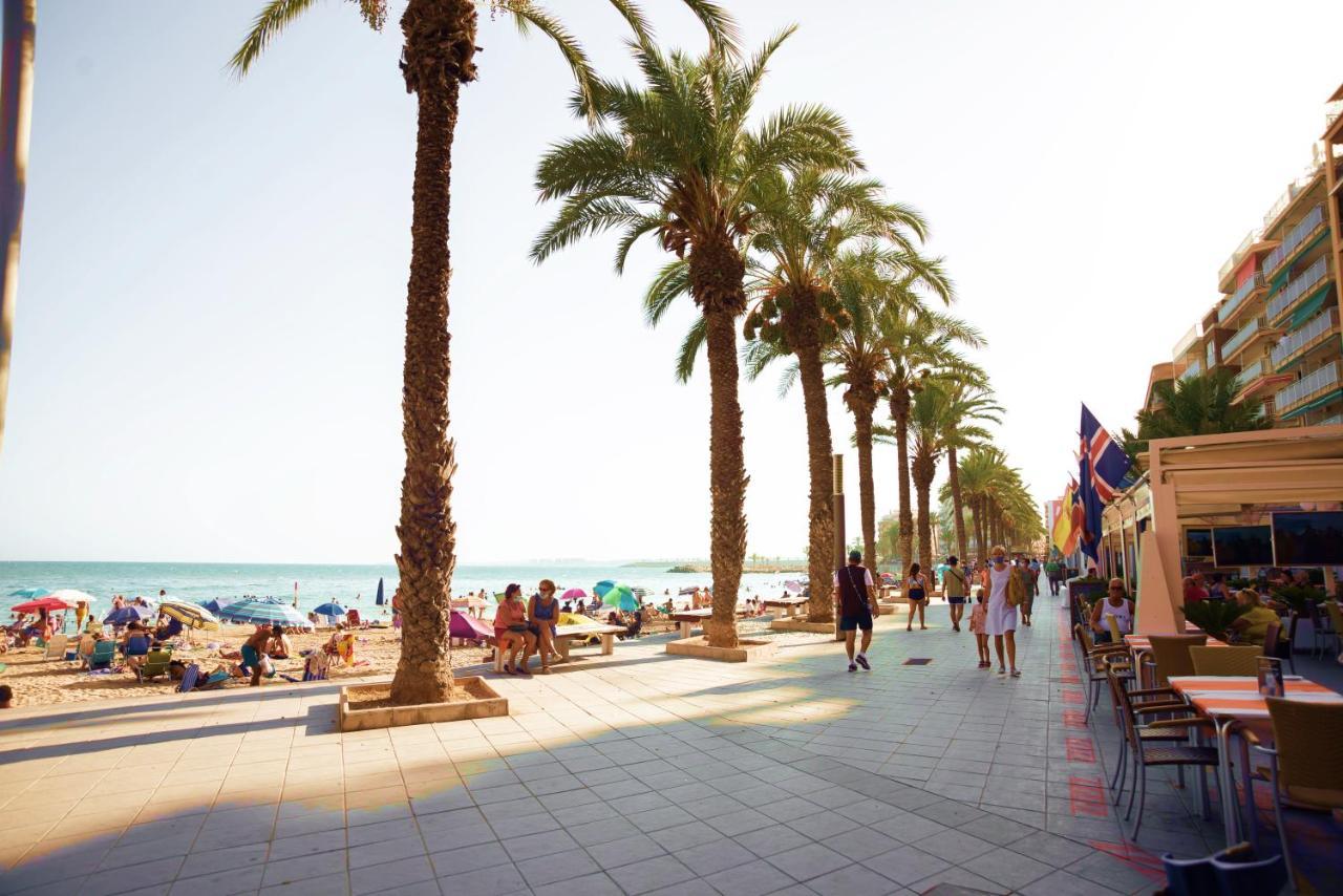 Holiday Studio Jardin Playa Torrevieja Ngoại thất bức ảnh